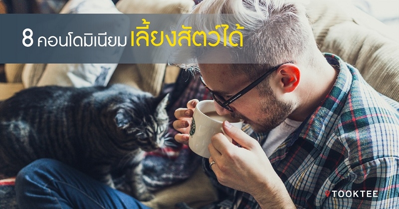 เทรนด์อสังหาฯ ตอบโจทย์คนรักสัตว์ 8 คอนโดมิเนียมที่สามารถเลี้ยงสัตว์ได้