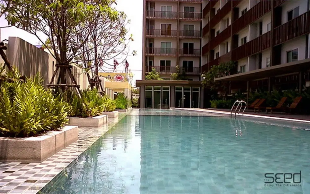 เดอะซี้ด แจ้งวัฒนะ