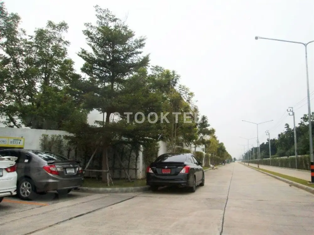 เทรนดี้ ธารา ร่มเกล้า