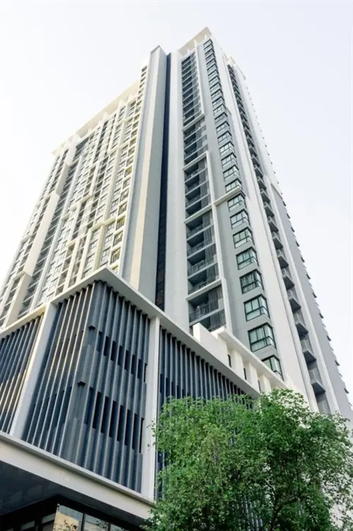 ควินน์ คอนโด