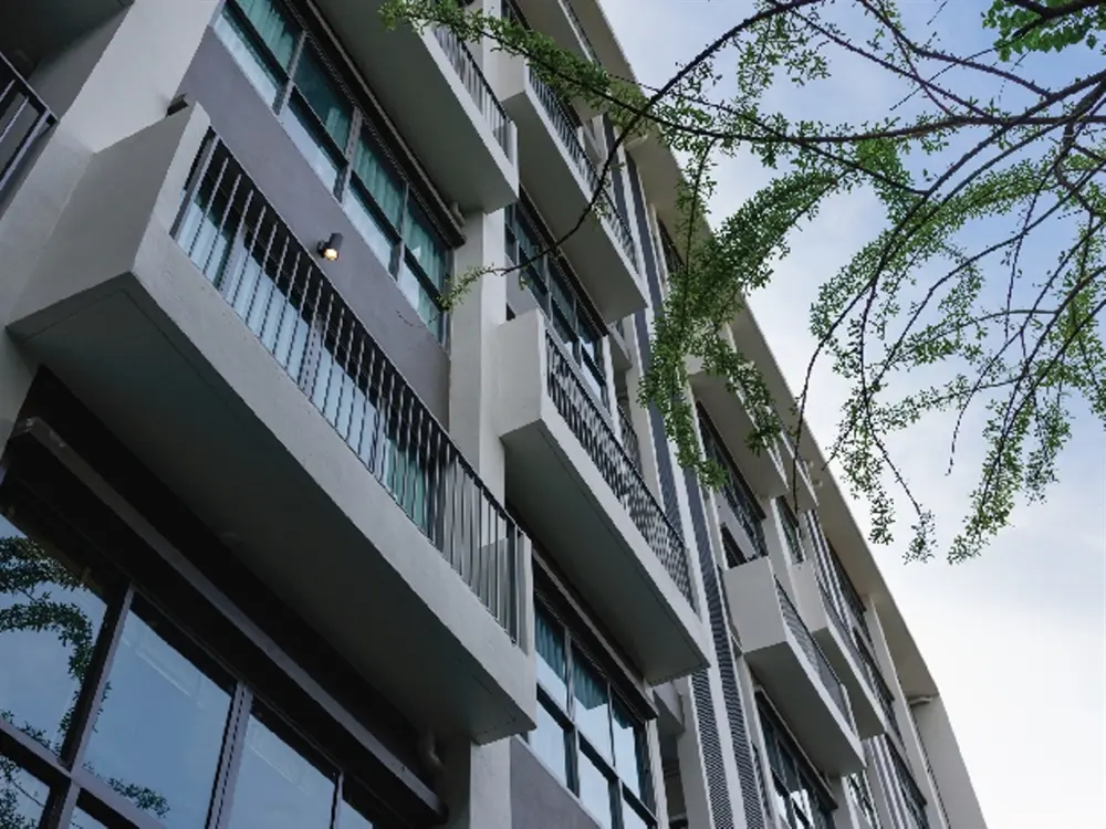 ดี เมโมเรีย พหลโยธิน 8