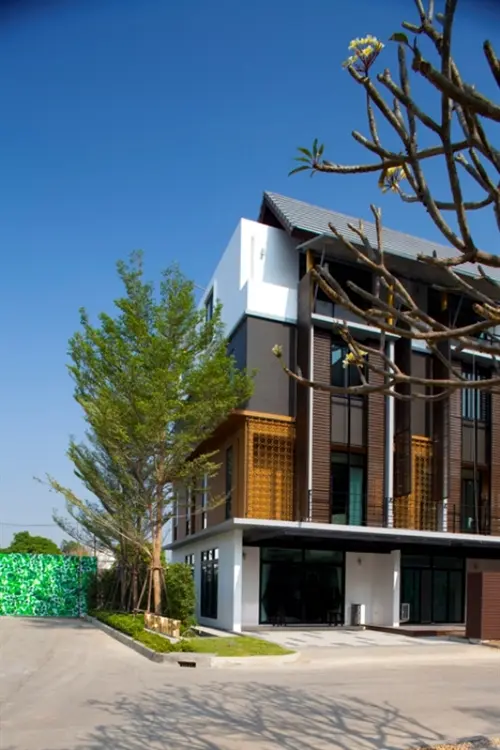 ฟลอรา แมรีโกลด์