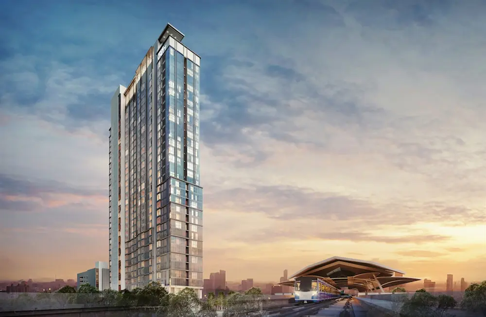 เดอ ลาพีส จรัญ 81